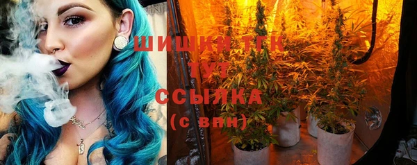 дживик Баксан