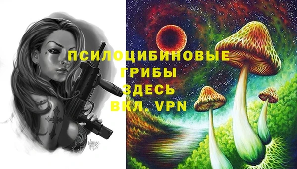 тгк Балабаново
